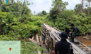 Bumi Tesso Nilo Mengering: Perang Saraf Tim Patroli Memutus Jalan Pembalak