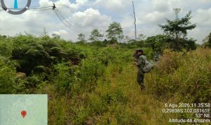 Mengenal Teknik Suksesi Alami: Bagaimana Hutan Memulihkan Dirinya Sendiri?