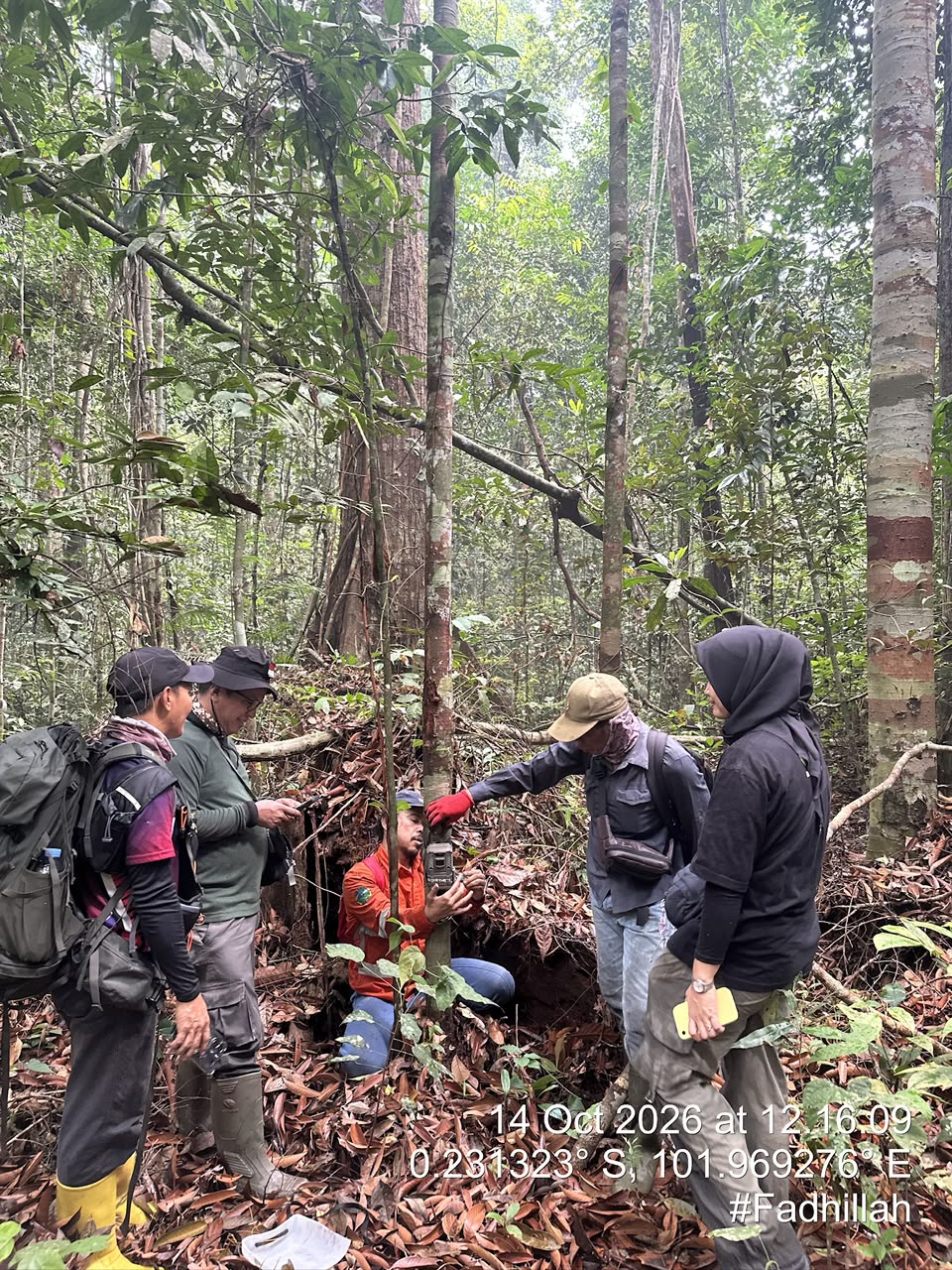 Menantang Semak Resam: Cerita Petugas Patroli Berburu Rekaman Rimba Tesso Nilo